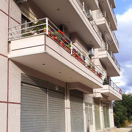 Drini Apartments Përmet Esterno foto